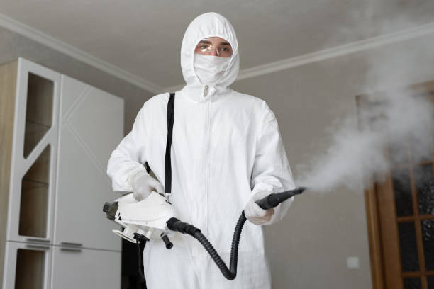  Lost Hills, CA Mold Removal Services Pros